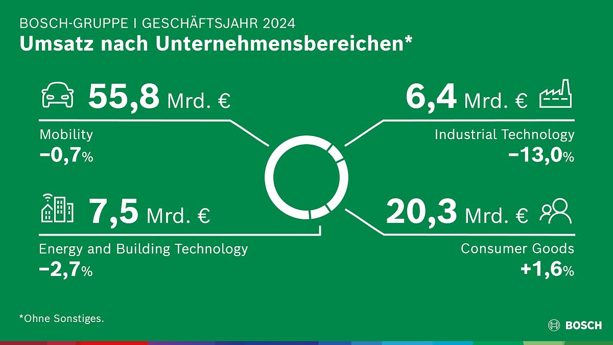 Bosch-Gruppe im Geschäftsjahr 2024: Umsatz nach Unternehmensbereichen 